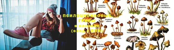прущая мука Балабаново