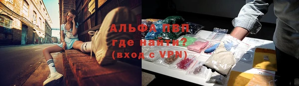 молекула духа Балахна