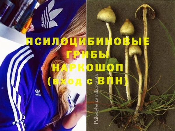 mdpv Баксан