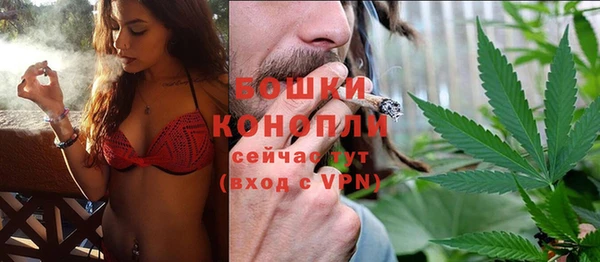 молекула духа Балахна