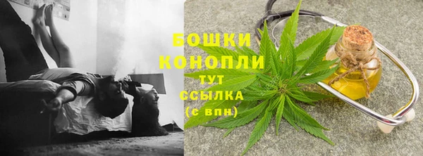 молекула духа Балахна